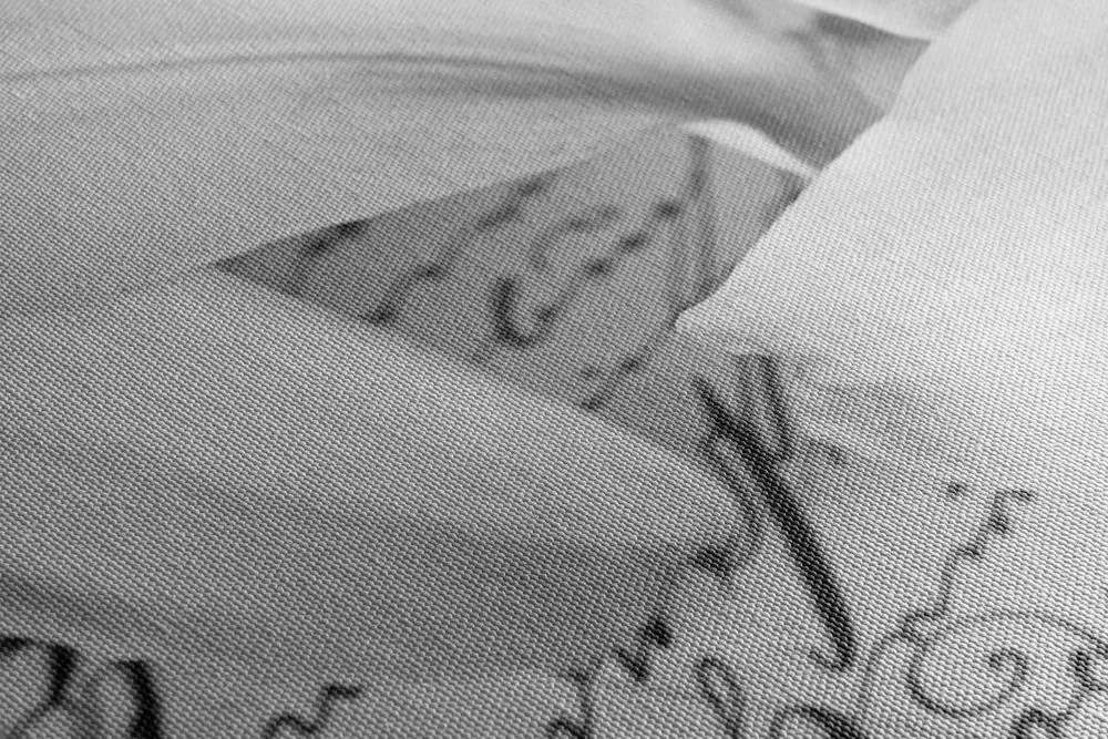 Quadro su tela – Gigli su vecchio documento in bianco e nero