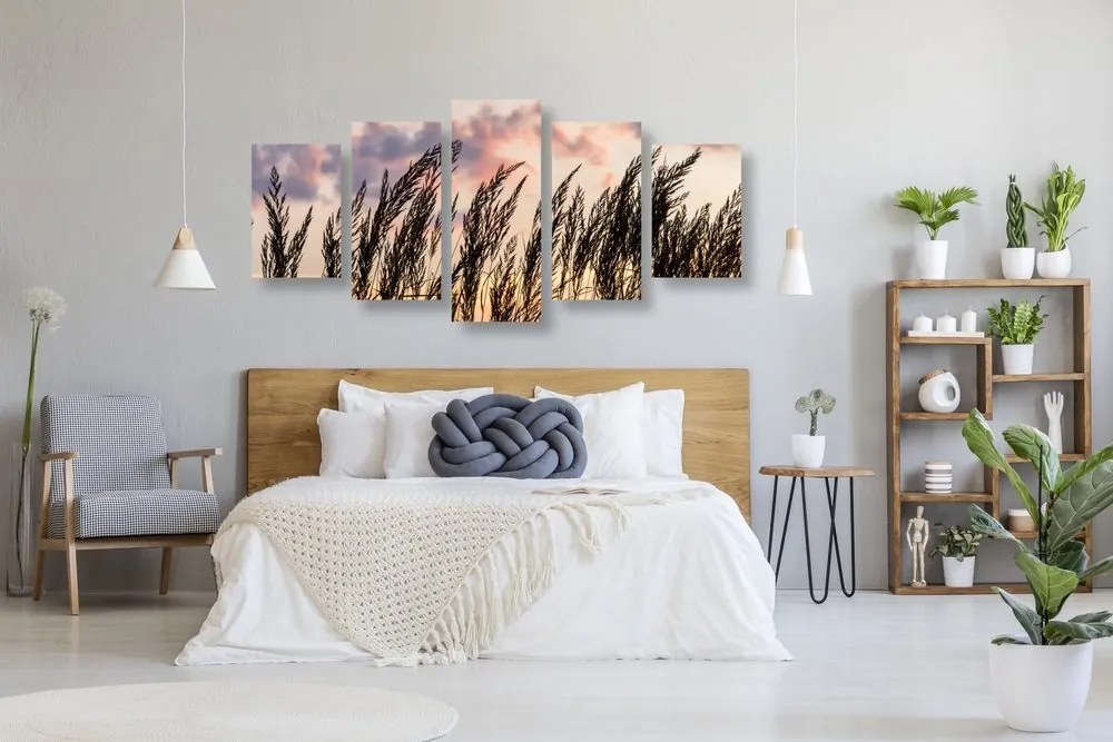 Quadri 5 pezzi – Erba al tramonto
