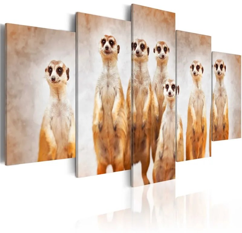 Quadro Family of meerkats  Colore Beige, Dimensioni e Misure 100x50