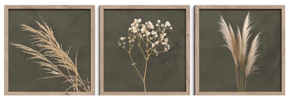 Set di dipinti 3 pz 30x30 cm Pampas – Styler