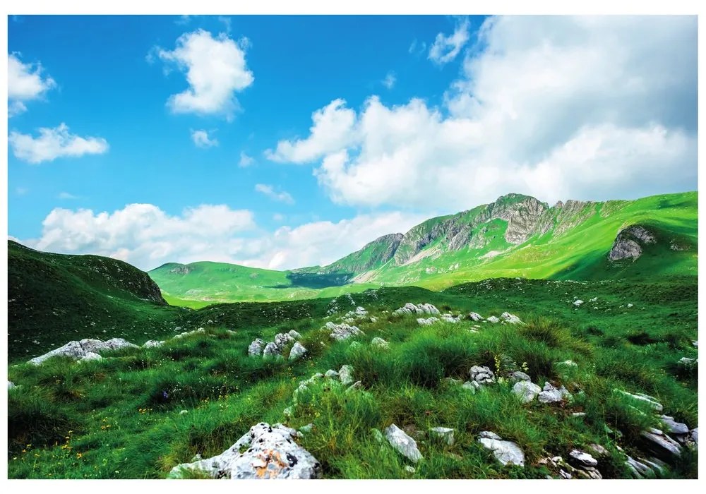 Carta da parati – Valle in Montenegro
