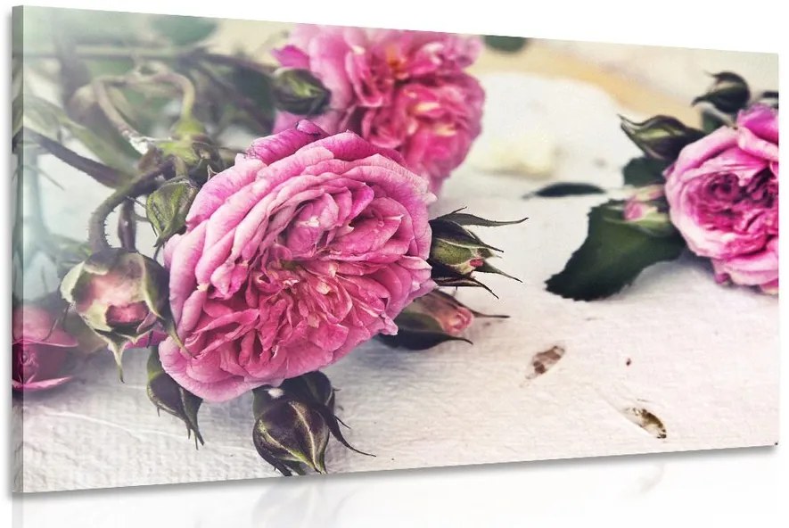 Quadro su tela – Rose in fiore