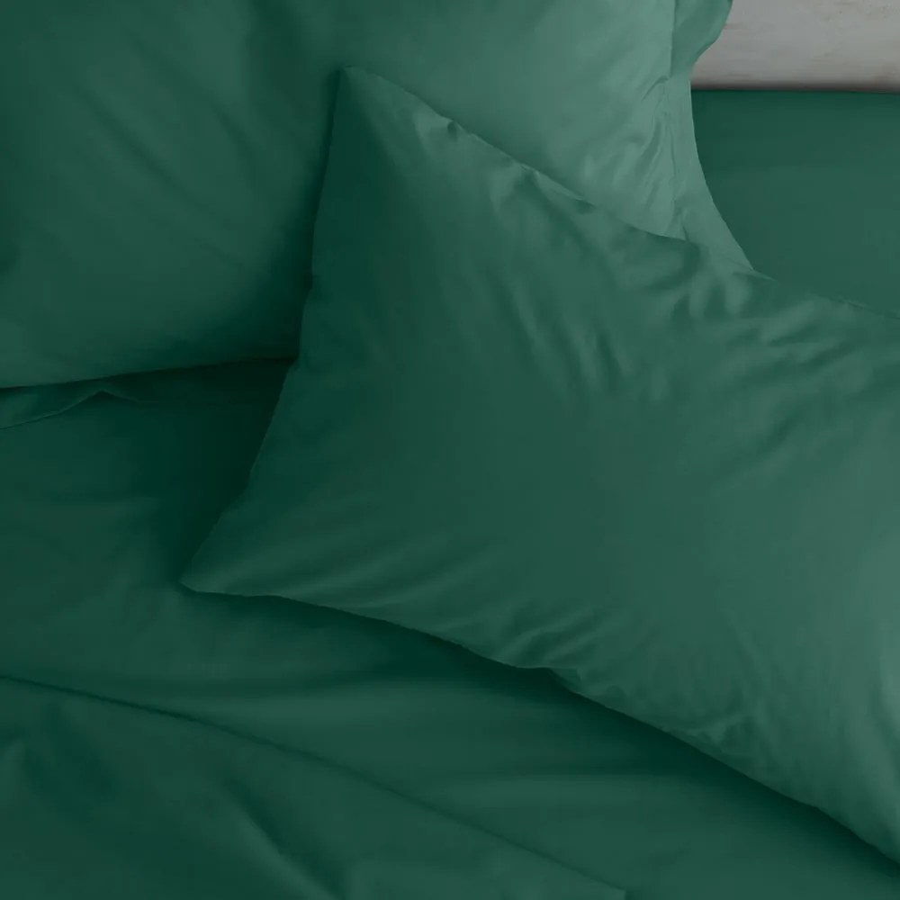 Federe per cuscino in set in percalle 2 pz 75x50 cm Easy Iron Percale – Catherine Lansfield