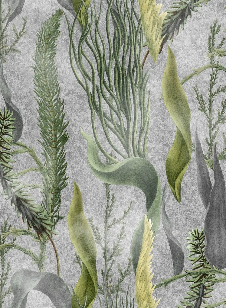 Mindthegap Carta da parati Aquatic Plants - WP20718