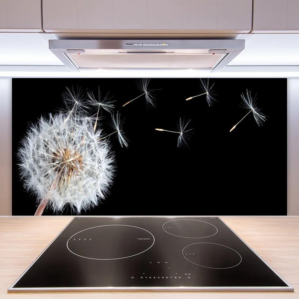 Pannello paraschizzi cucina Fiori di tarassaco Natura 100x50 cm