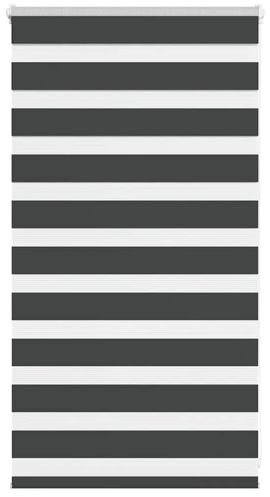 Tenda A Rullo Zebra Nero Larghezza Tessuto 65,9 Cm Poliestere /