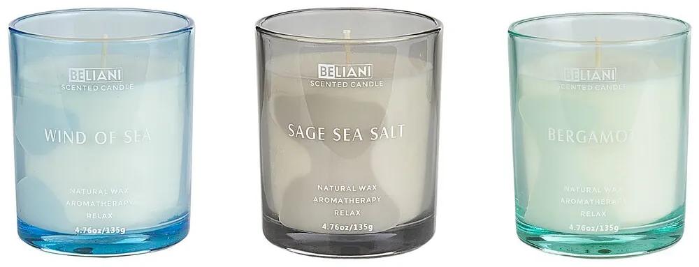 Set di 3 candele profumate cera di soia Bergamotto/Vento di Mare/Salvia Sale Marino SHEER JOY Beliani