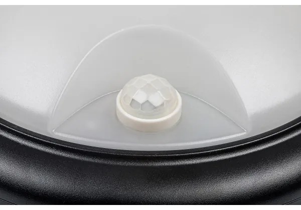 Rabalux 77028 - Applique LED da esterno con sensore LED/15W/230V IP54