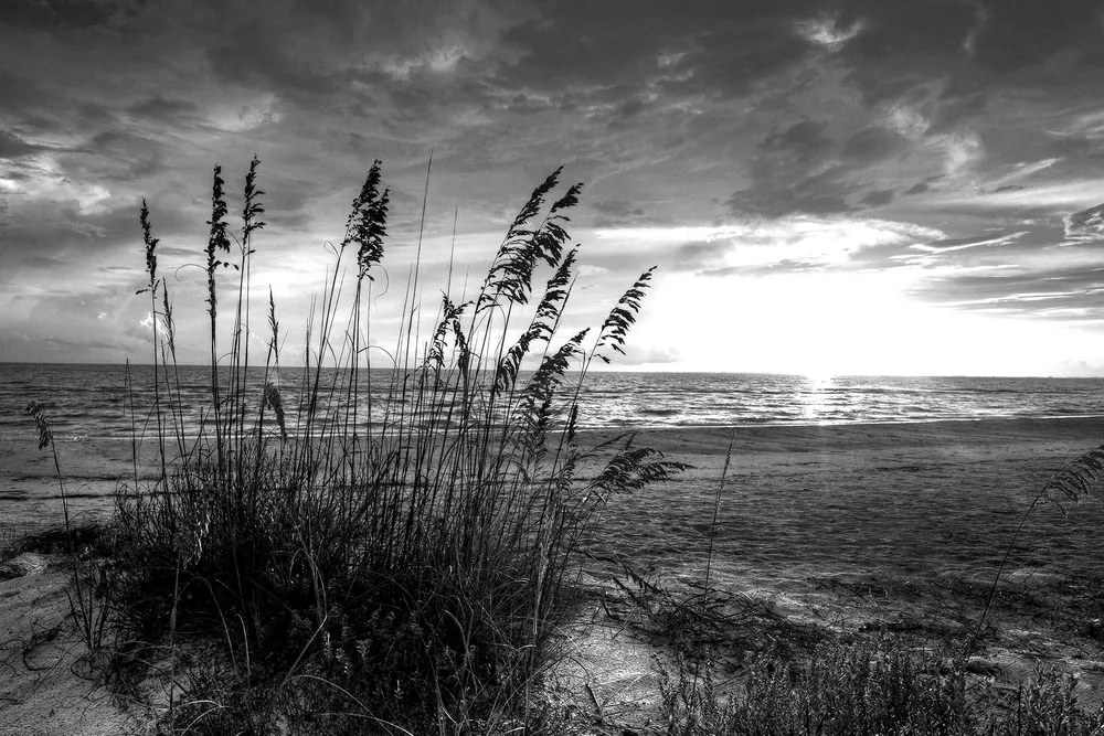 Stampa su tela – Tramonto sulla spiaggia in bianco e nero