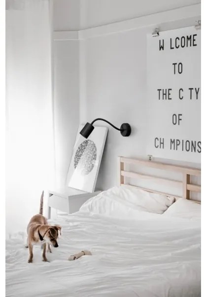 Palnas 61002613 - Faretto da parete GEMA 1xGU10/10W/230V