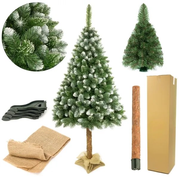 Albero di Natale su tronco di pino 180 cm