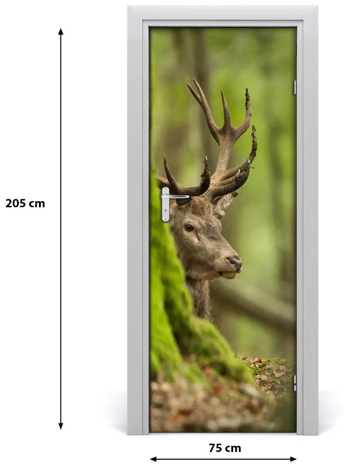 Adesivo per porta interna Cervo 75x205 cm