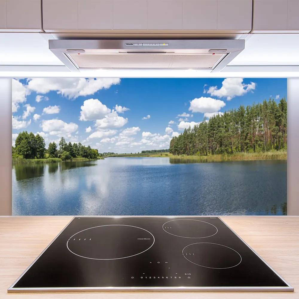 Pannello cucina paraschizzi Paesaggio della foresta del lago 100x50 cm