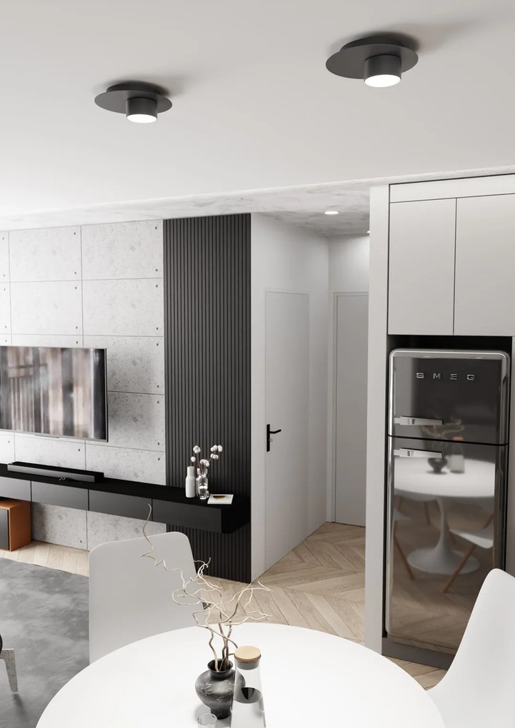 Plafoniera Moderna Dioniso Acciaio Nero 1 Luce Gx53 Ip20