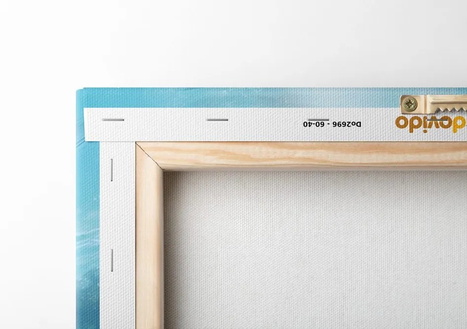 Quadro su tela – Squalo con cuffie
