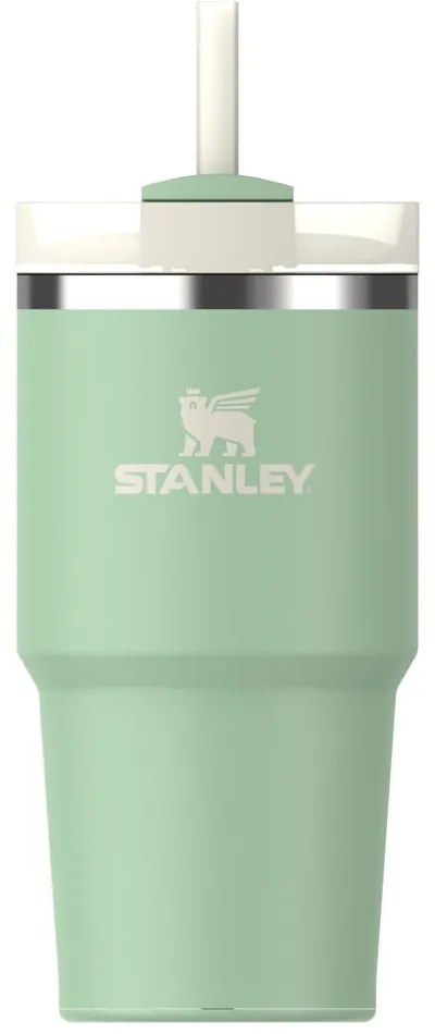 Borraccia termica color salvia in acciaio inox 600 ml Quencher H2.0 FlowState Tumbler Pistachio – Stanley