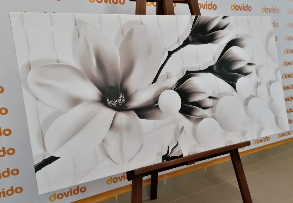Quadro su tela – Magnolia in bianco e nero con elementi astratti