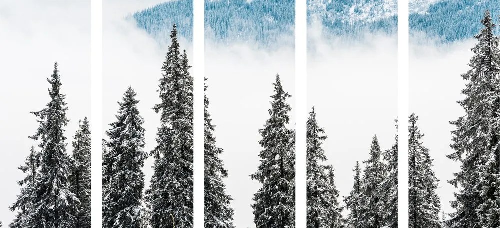 Quadri 5 pezzi – Alberi di pino innevati