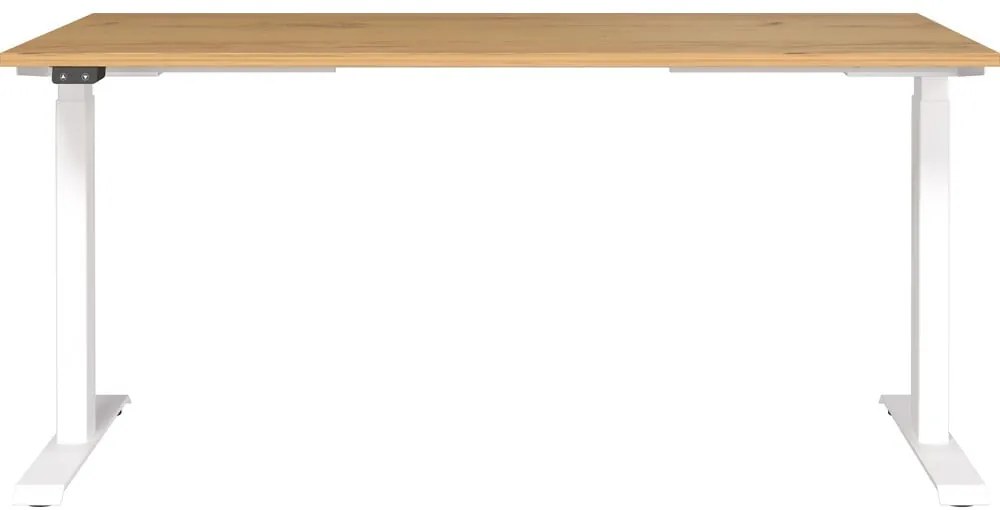 Tavolo da lavoro ad altezza regolabile elettricamente con piano in rovere 80x160 cm Jet - Germania