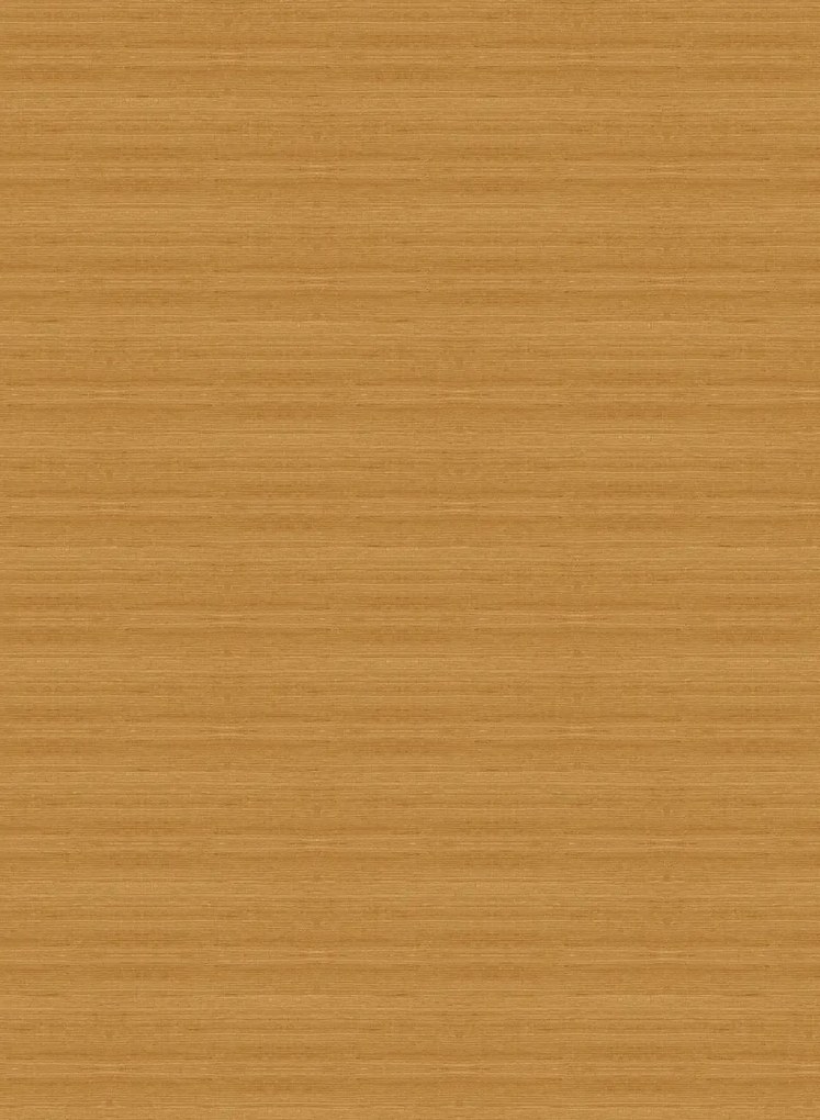 Arte International Carta da parati Line - Sunburst