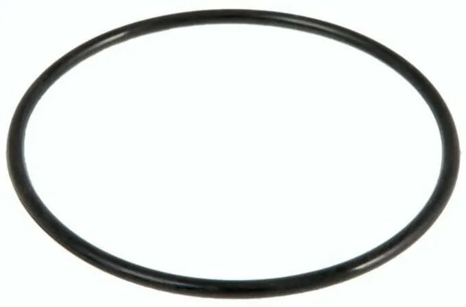 BESTWAY - P6559 - Guarnizione boccia filtro a sabbia 58404-58199-58256