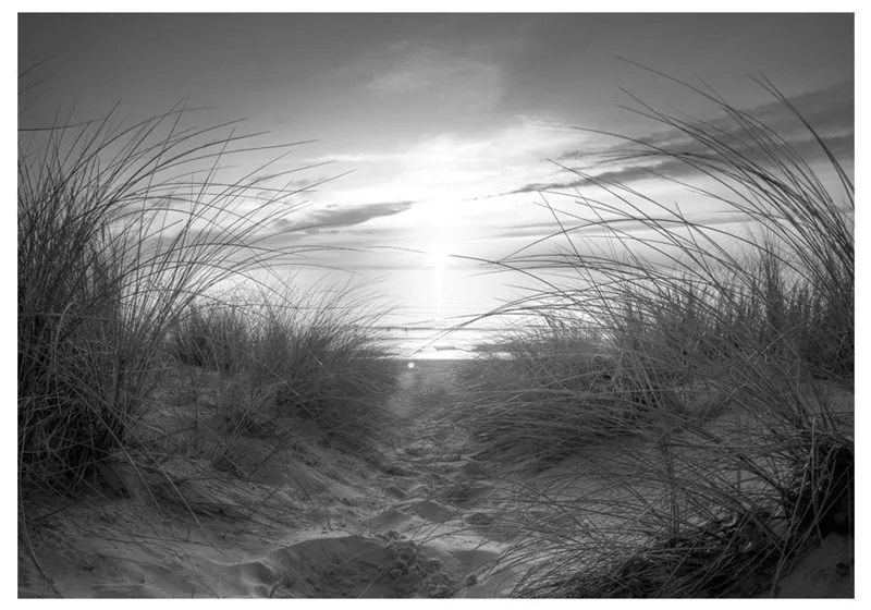 Fotomurale  beach (black and white)  Colore bianco e nero, Dimensioni e Misure 200x140