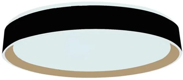 Plafoniera LED dimmerabile con controllo vocale OPAL LED/48W/230V + +TC