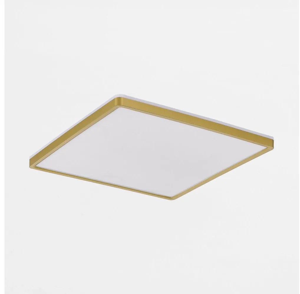 Zuma Line MS748400S-3-GD - Luce LED dimmerabile BOVE 50W/230V 3000/4000/5500K oro