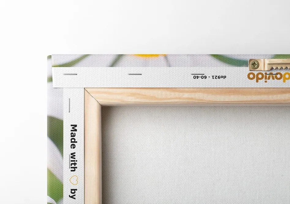 Stampa su tela – Fiori di camomilla