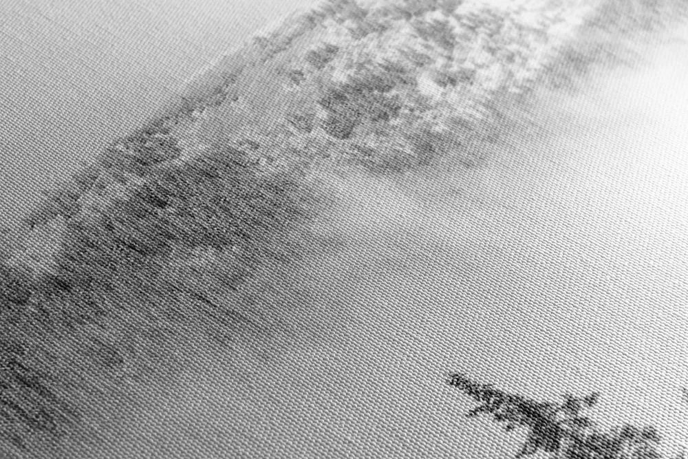 Quadro su tela – Alberi di pino innevati in bianco e nero