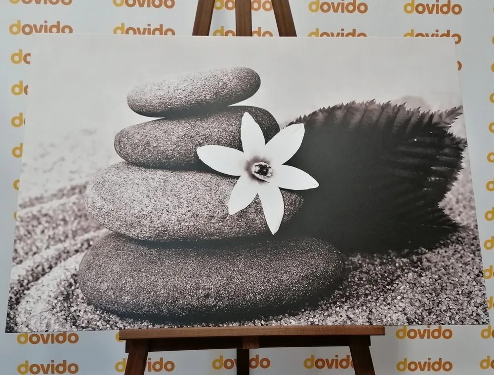 Stampa su tela – Fiore e pietre nella sabbia in bianco e nero