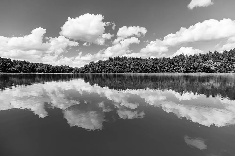 Fotomurale – Lago in bianco e nero in estate