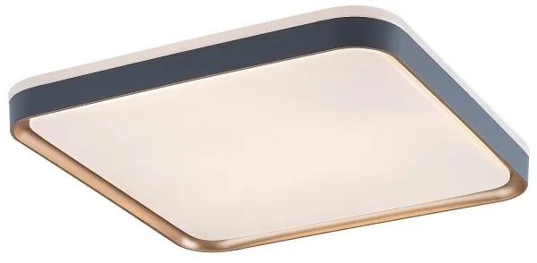 Rabalux 71029 - Plafoniera LED LIATRIS LED/26W/230V 3000K