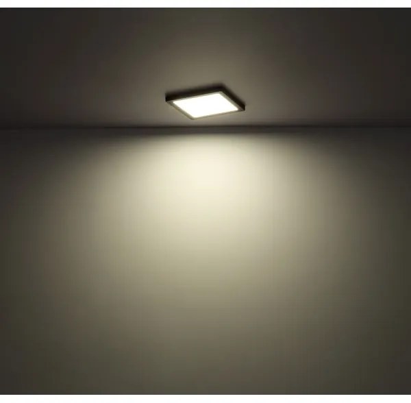 Globo 12380-24B - Plafoniera LED LASSE LED/24W/230V 3000/4000/6500K nero