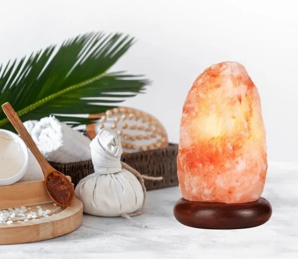 Lampada al sale SALLY 1xE14/25W/230V