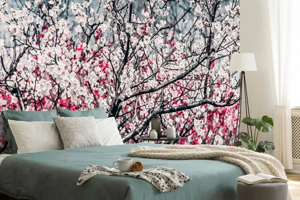 Carta da parati – Fiori di pesco