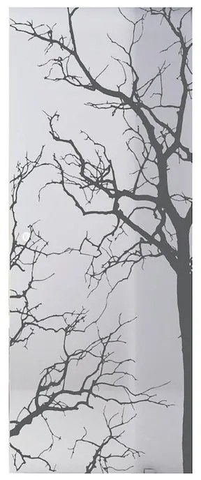 Anta per porta scorrevole esterno muro Autumn in vetro, L 76 x H 215 cm spessore 8 mm, apertura reversibile
