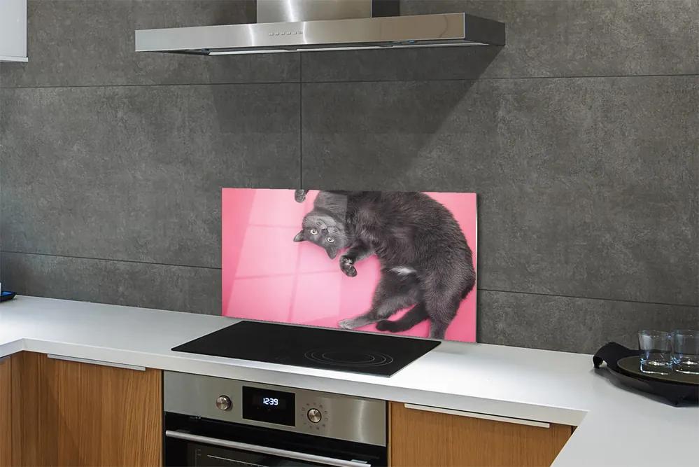 Pannello paraschizzi cucina Gatto sdraiato 100x50 cm