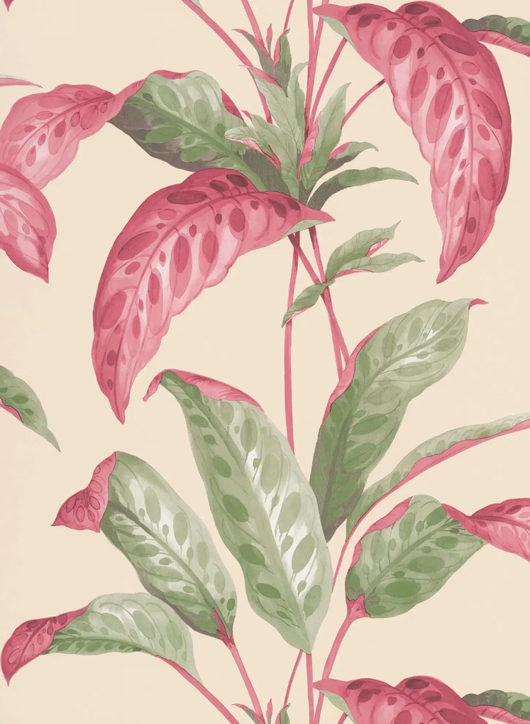 Paint & Paper Library Carta da parati Tropicane - Rhubarb
