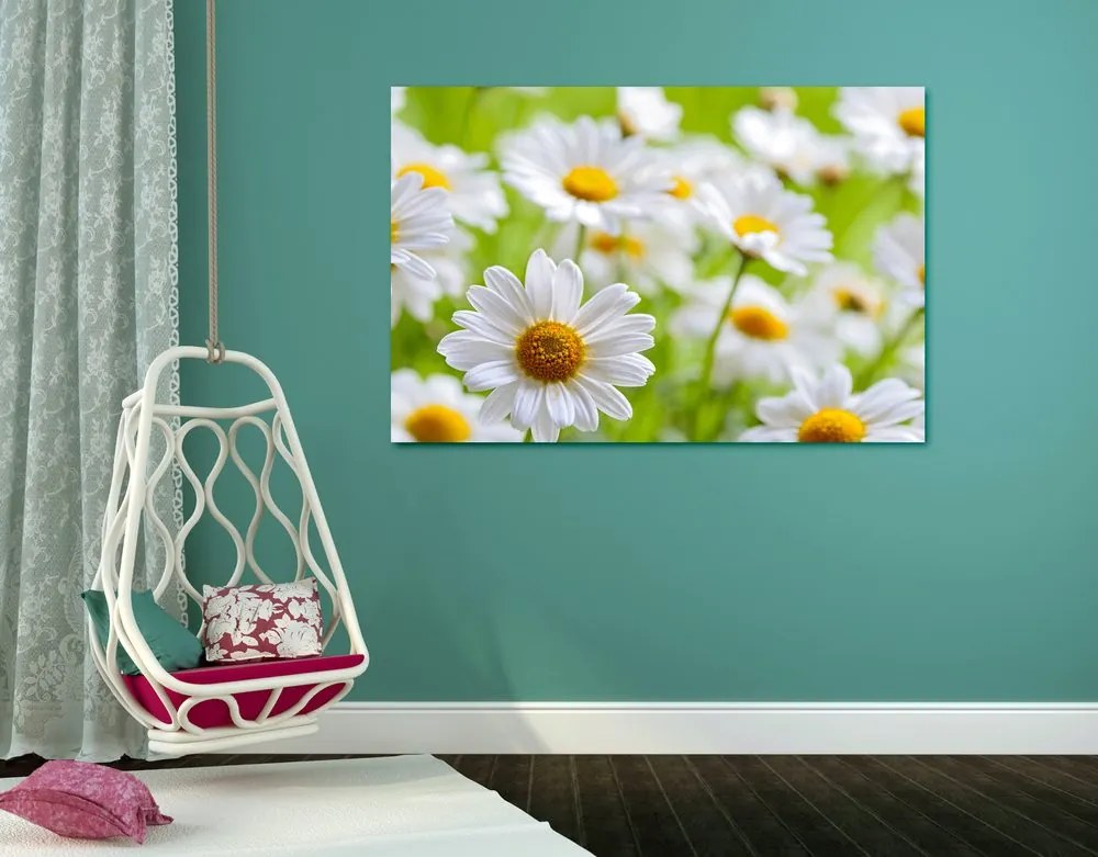 Stampa su tela – Prato primaverile pieno di fiori