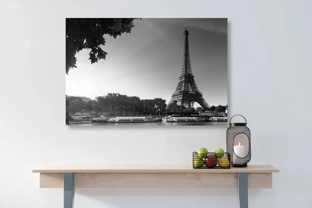 Quadro su tela – Parigi in autunno in bianco e nero