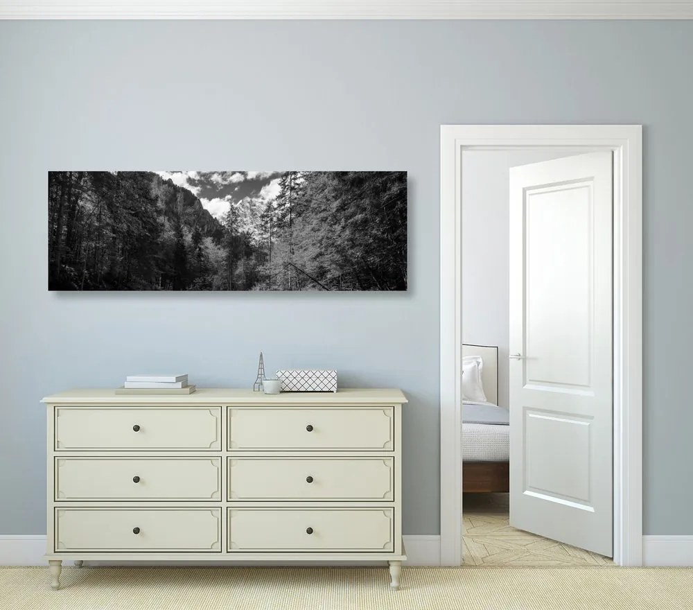 Quadro su tela – Paesaggio montano in bianco e nero