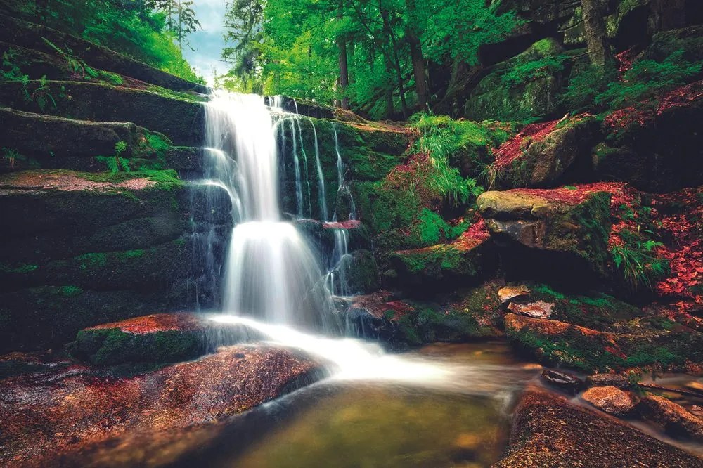 Carta da parati autoadesiva – Cascata nella foresta