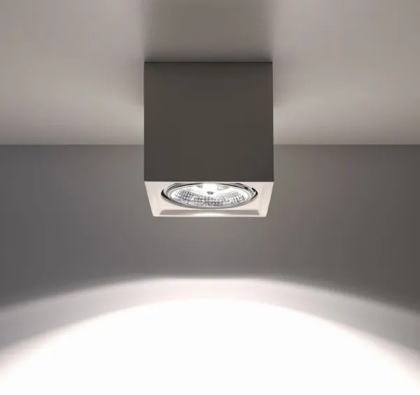 Plafoniera SEIDA 1xGU10/40W/230V