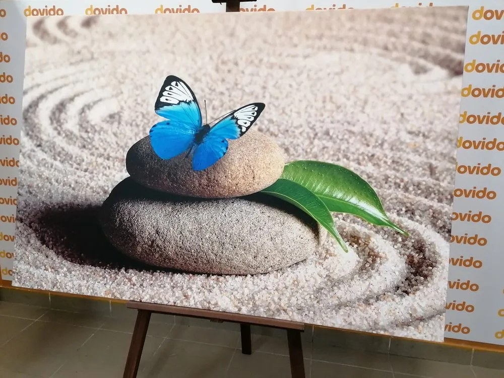 Stampa su tela – Farfalla blu nel giardino Zen