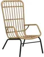 Sedia da Giardino in Polyrattan Marrone Chiaro 48580