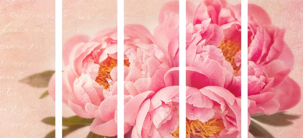 Quadri 5 pezzi – Peonia delicata