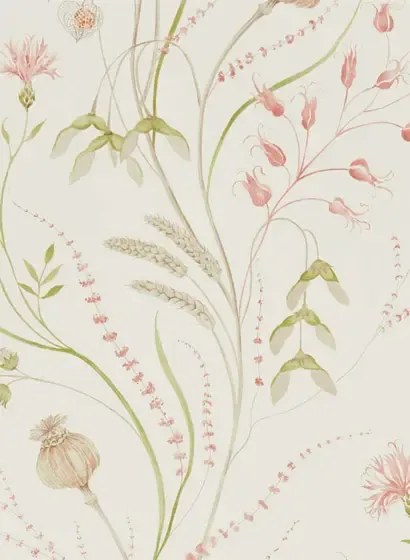 Florale Tapete Summer Harvest von Sanderson - Claret/ Olive
