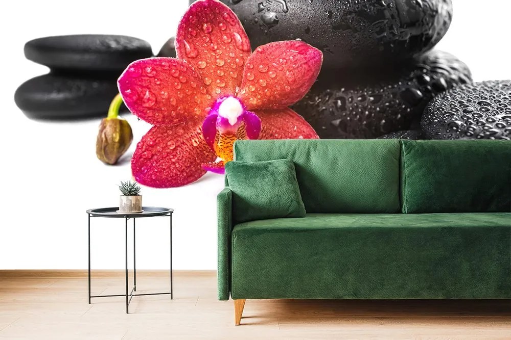 Carta da parati – Orchidea e pietre Zen su sfondo bianco