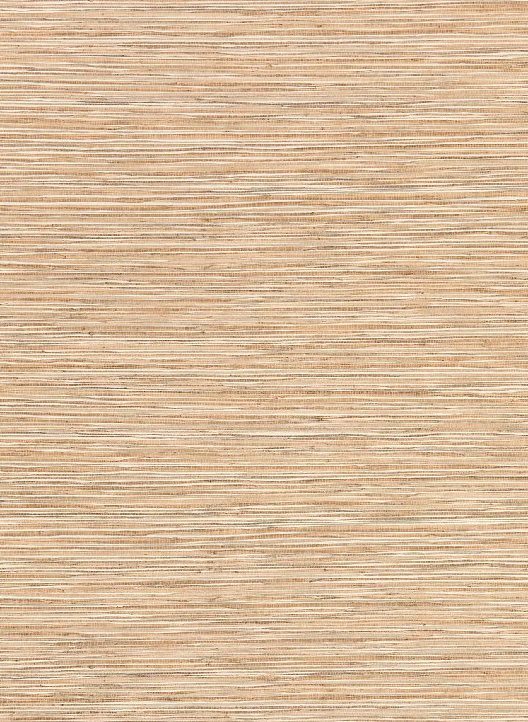 Osborne & Little Carta da parati Bahia - Bamboo